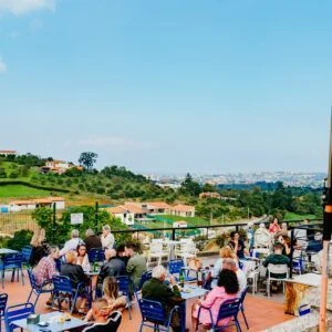 Afternoon on the terrace